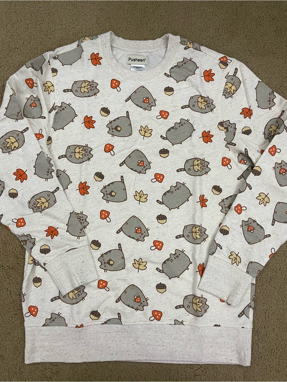 Pusheen women’s Fall Print Sweatshirt